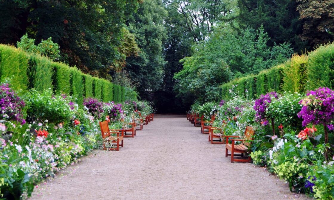 Benefits of Laurel Hedges - Inspired Homes