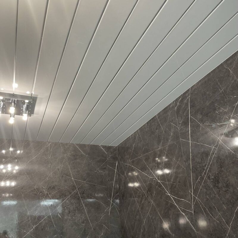 bathroom and kitchen ceiling panels