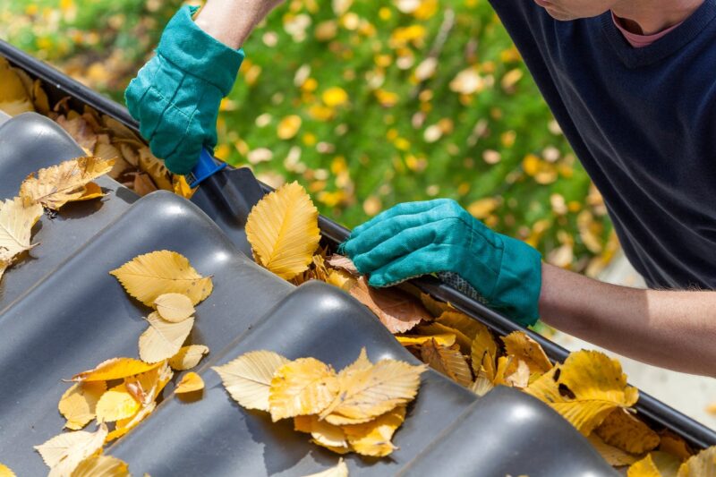 Clear Gutters and Drains