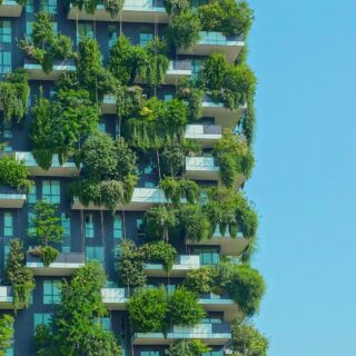 Sustainable Development: The Push for Green Building and Eco-Friendly Practices in Colombia's Real Estate Market