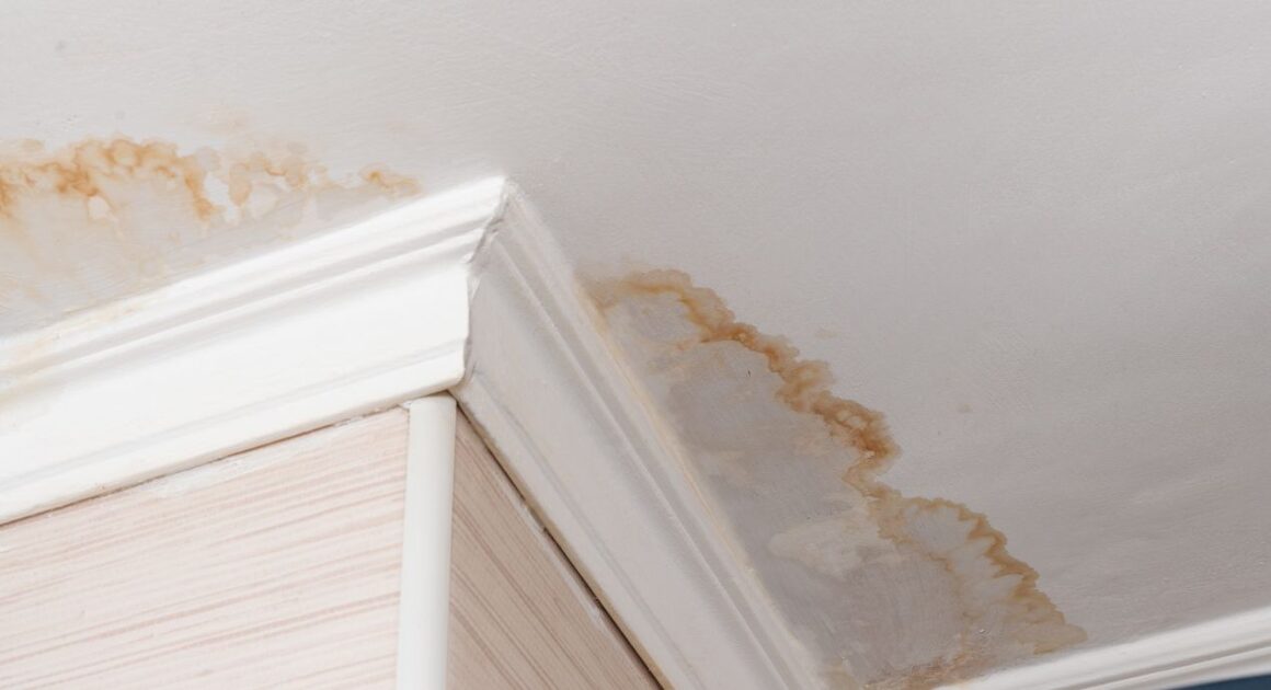 Water Stains on Ceilings