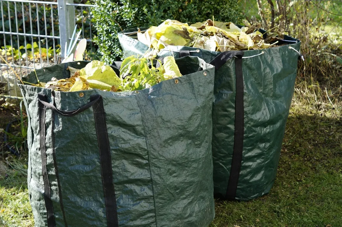 Garden Waste Removal Insights