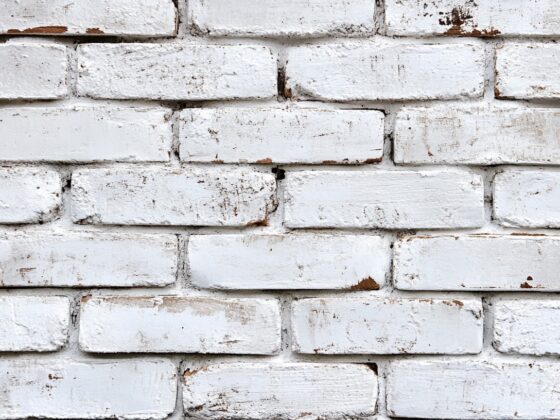 Close-up of a white-washed brick wall displaying a rustic, uneven white finish that preserves the natural texture and variations of the underlying red brick, visible through patches where the white coating is thinner