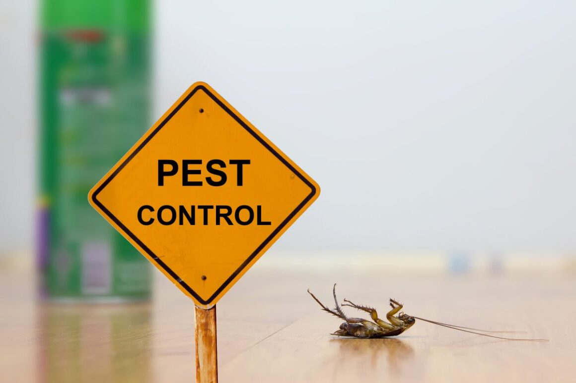 Sign of Pest Control in our home