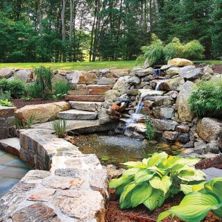 Backyard Pond