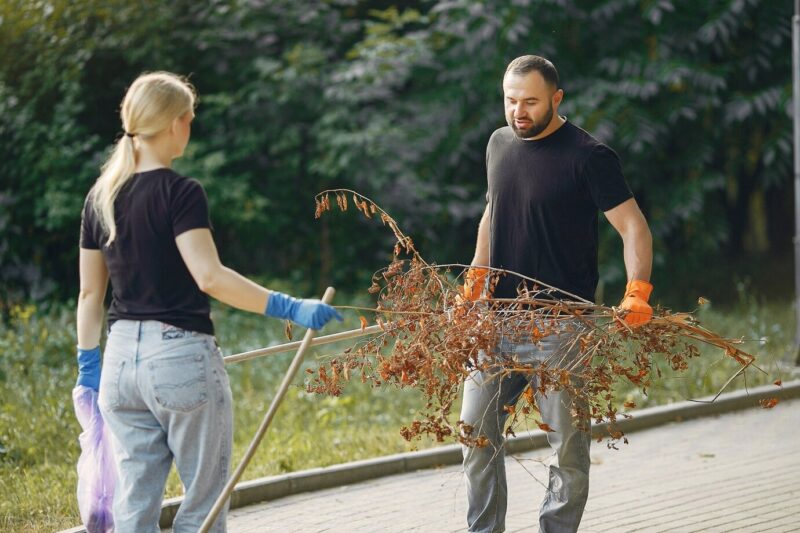 Clearing and Cleaning Your Garden