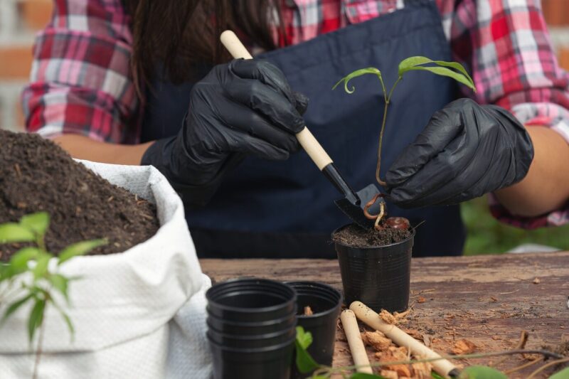 Planning and Planting New Additions