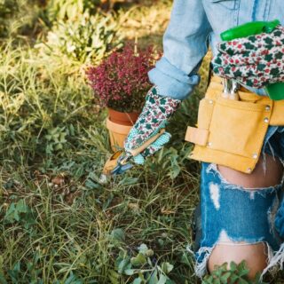 Spring Gardening Tasks