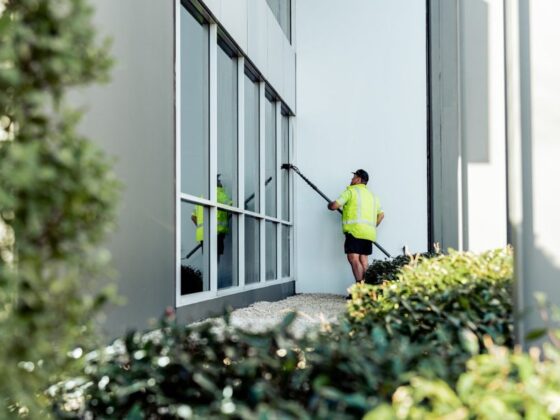 Professional Window Clean