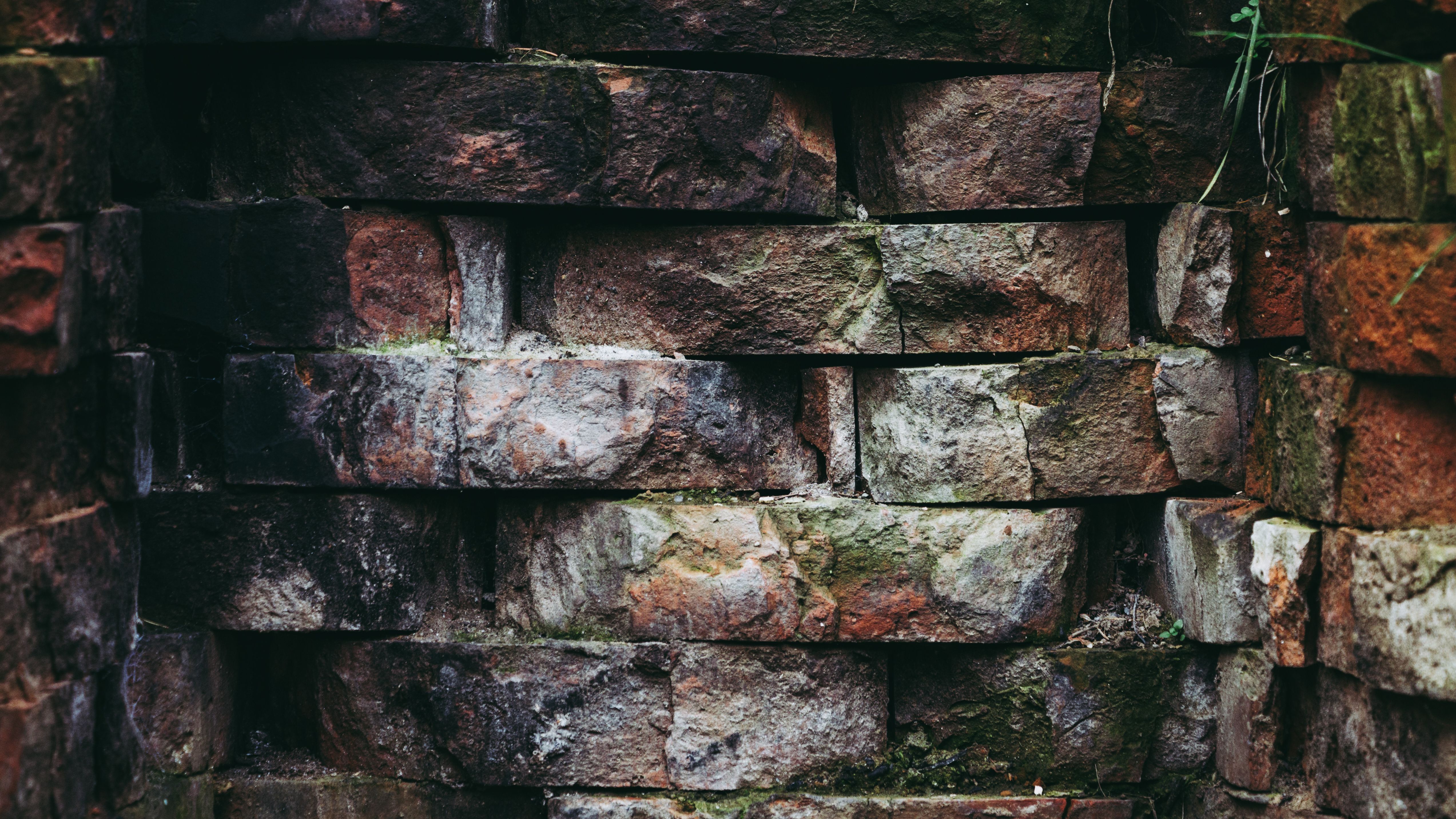 Weathered moss-covered brick wall showing the moisture and age-related wear common in older masonry.